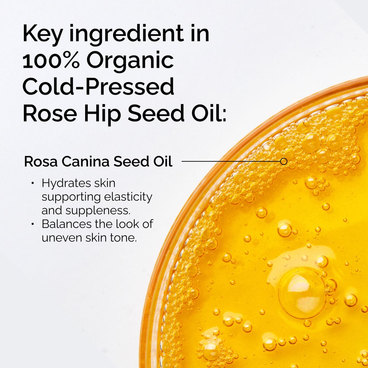 100-organic-cold-pressed-rose-hip-seed-oil-k0 FY25-D41247-ORD-Web-PDP-100-Rose-Hip-Oil-1x1-EN-2.jpg