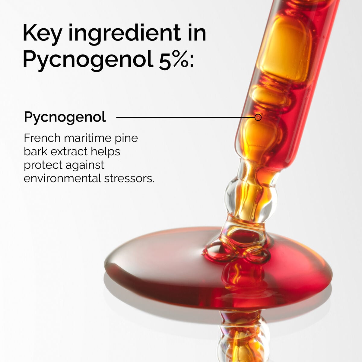 pycnogenol-5-a2 FY25-D41247-ORD-Web-PDP-Pyc-5pct-1x1-EN-2a.jpg