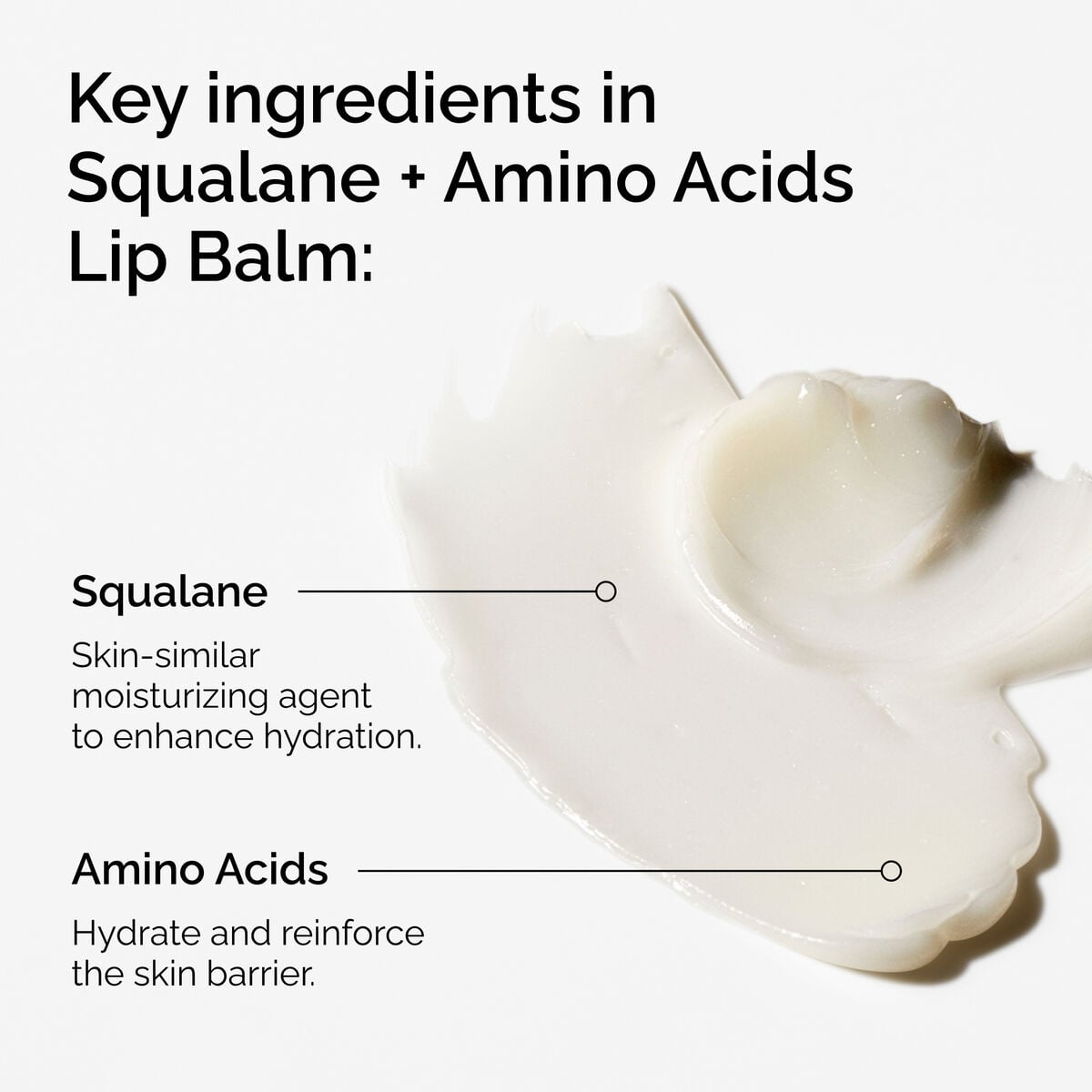 squalane-amino-acids-lip-balm-q3 FY25-D41247-ORD-Web-PDP-Sql-Amino-Lip-1x1-EN-2a.jpg
