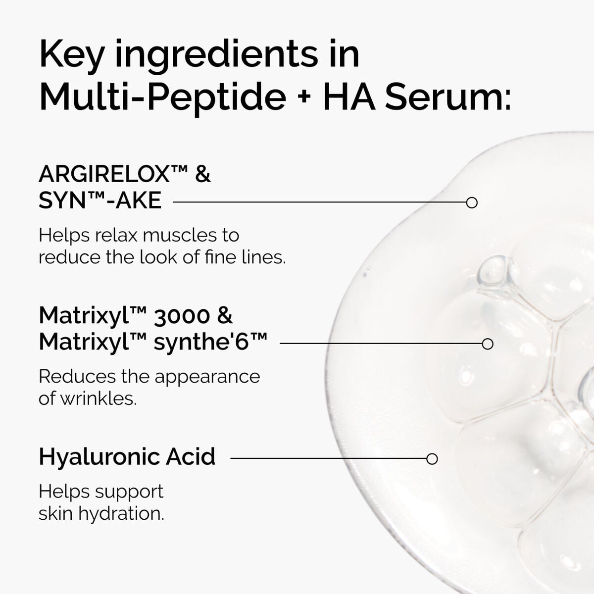 the-age-support-set-r8 ord-multi-peptide-ha-ingredients-graphic.jpg